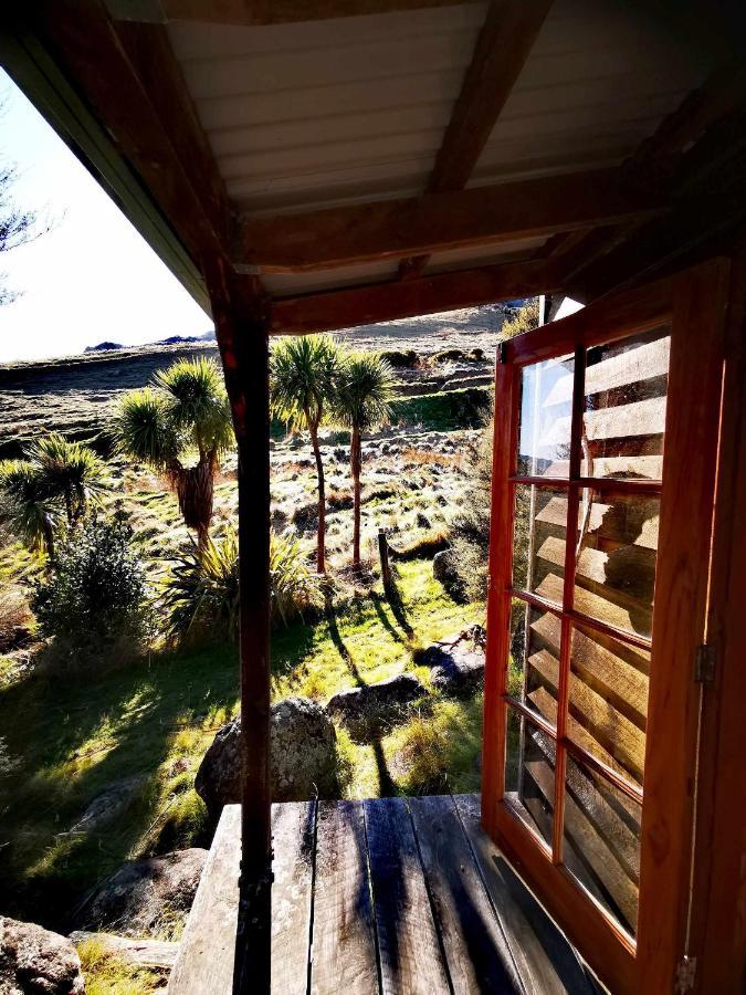 Manaaki Mai, Rustic Retreat Bush Cabin كريستتشيرش المظهر الخارجي الصورة